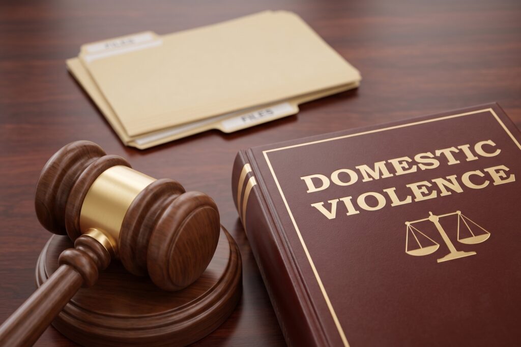 Domestic violence legal service concept image featuring a domestic violence law book, legal hammer, and legal documents, representing legal protection, women’s rights, domestic violence cases, PWDV Act assistance, and professional legal consultation by Advocate Archana Chikorde in Pune. Domestic Violence Lawyer Pune providing legal support with law books, legal documents, and guidance for women's protection and legal rights.